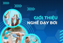 Giới thiệu nghề dạy bơi