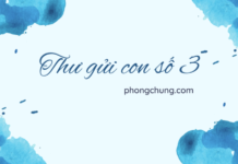 THƯ GỬI CON (SỐ 3) – “DỪNG LẠI VÀ SUY NGHĨ”