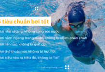 5 tiêu chuẩn bơi tốt